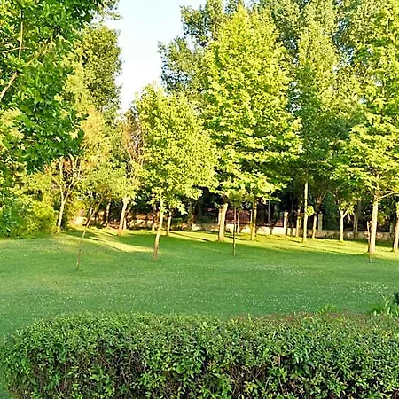 Les Magnolias Primorsko